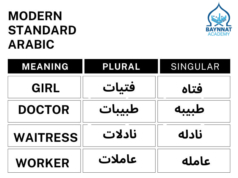 Modern Standard Arabic course